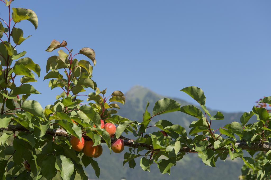 Pension Etschland Tirol Exteriér fotografie